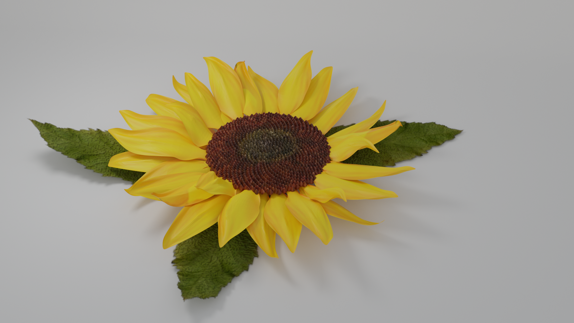 Sunflower preview image 2